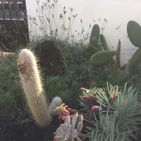 Holiday home Natural Y Sano: *