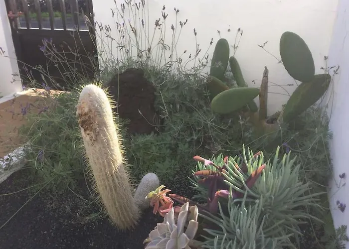 Nyaraló Natural Y Sano: *